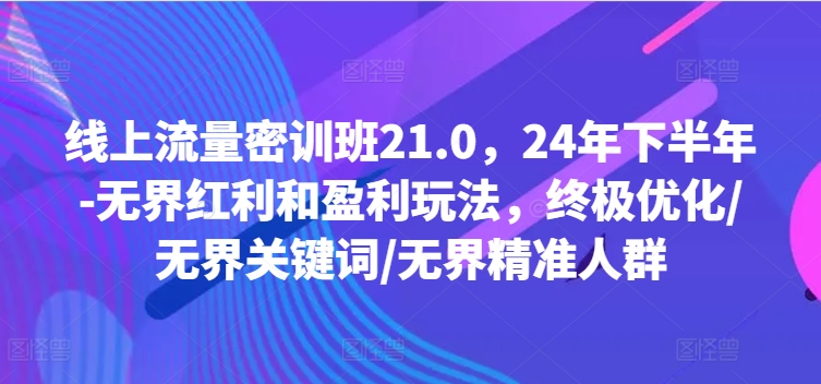 线上流量密训班21.0，24年下半年-无界红利和盈利玩法，终极优化/无界关键词/无界精准人群-Z网创