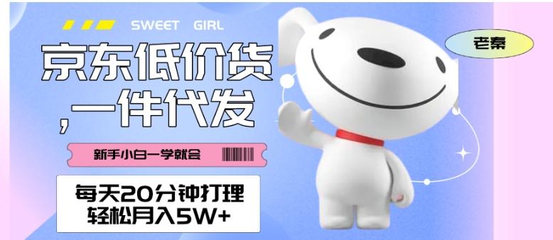 每天20分钟打理京东低价货,一件代发-轻松月入5W+-Z网创