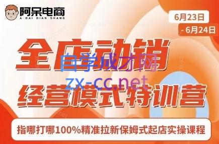 阿呆电商·全店动销经营模式特训营(线下录音+思维导图)-Z网创