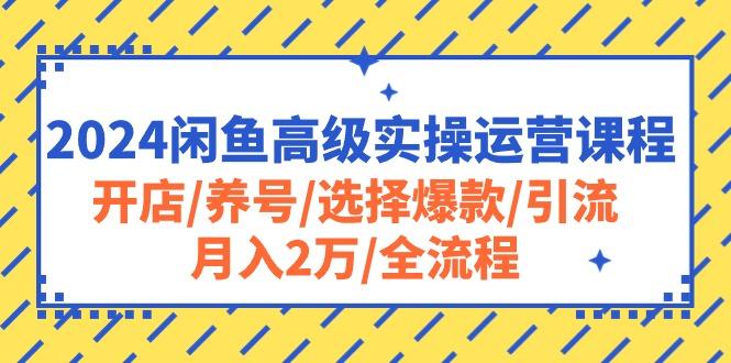 2024闲鱼高级实操运营课程:开店/养号/选择爆款/引流/月入2万/全流程-Z网创