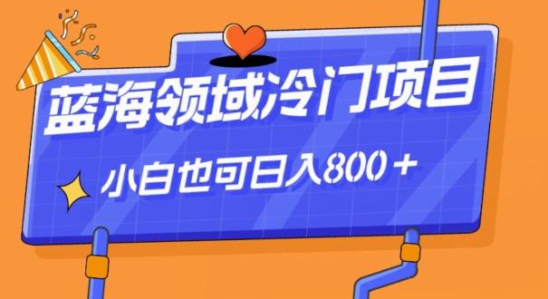 蓝海领域冷门赛道，一单39.9，日入800＋-Z网创