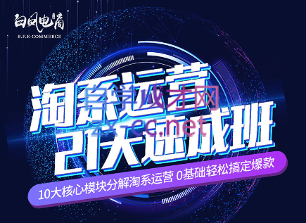 淘系运营21天速成班(更新7月)-Z网创