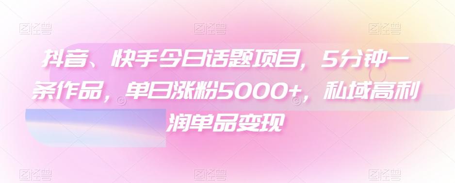抖音、快手今日话题项目，5分钟一条作品，单日涨粉5000+，私域高利润单品变现-Z网创