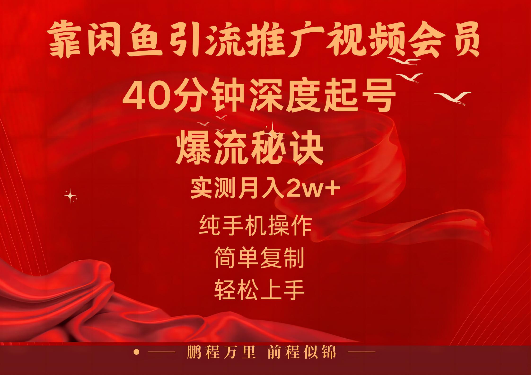 闲鱼暴力引流推广视频会员,能做到日入2W+,操作简单-Z网创