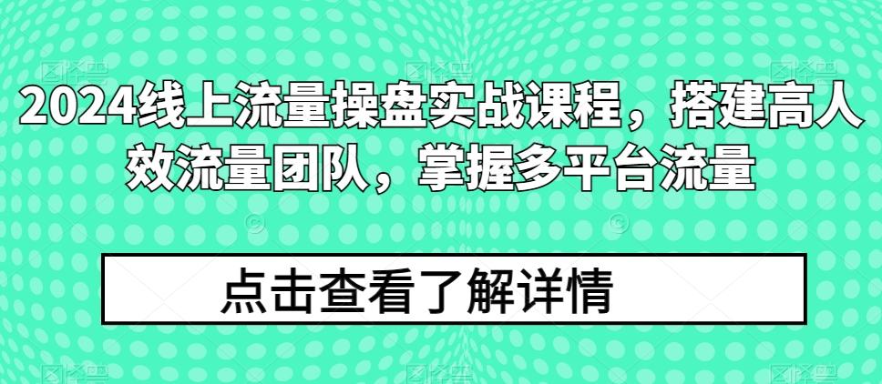 2024线上流量操盘实战课程，搭建高人效流量团队，掌握多平台流量-Z网创