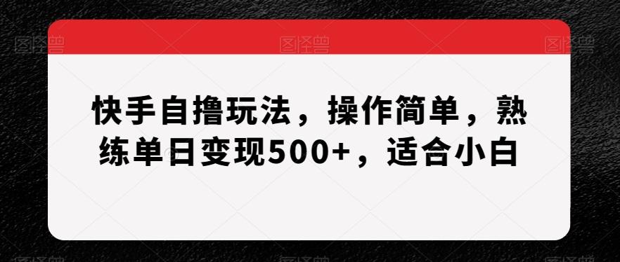 快手自撸玩法,操作简单,熟练单日变现500+,适合小白【揭秘】-Z网创