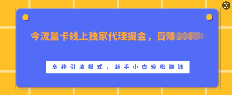 流量卡线上独家代理掘金，日入1k+ ，多种引流模式，新手小白轻松上手【揭秘】-Z网创