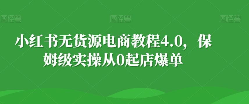 小红书无货源电商教程4.0，保姆级实操从0起店爆单【拆解】-Z网创
