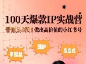 小红书100天爆款IP实战营，带你从0到1做出高价值的小红书号-Z网创