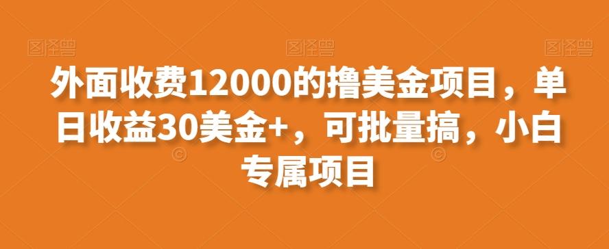 外面收费12000的撸美金项目，单日收益30美金+，可批量搞，小白专属项目-Z网创