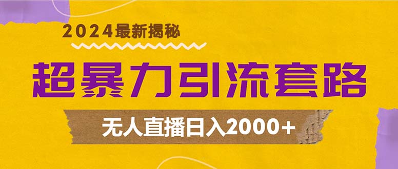 超暴力引流套路，无人直播日入2000+-Z网创