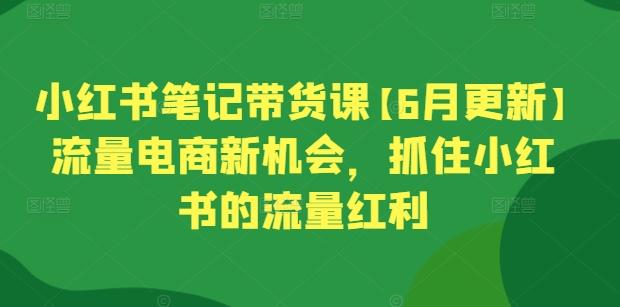 小红书笔记带货课【6月更新】流量电商新机会,抓住小红书的流量红利-Z网创