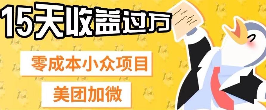 零成本小众项目，美团加微，一单4.5+，15天已经有人赚上万收益-Z网创