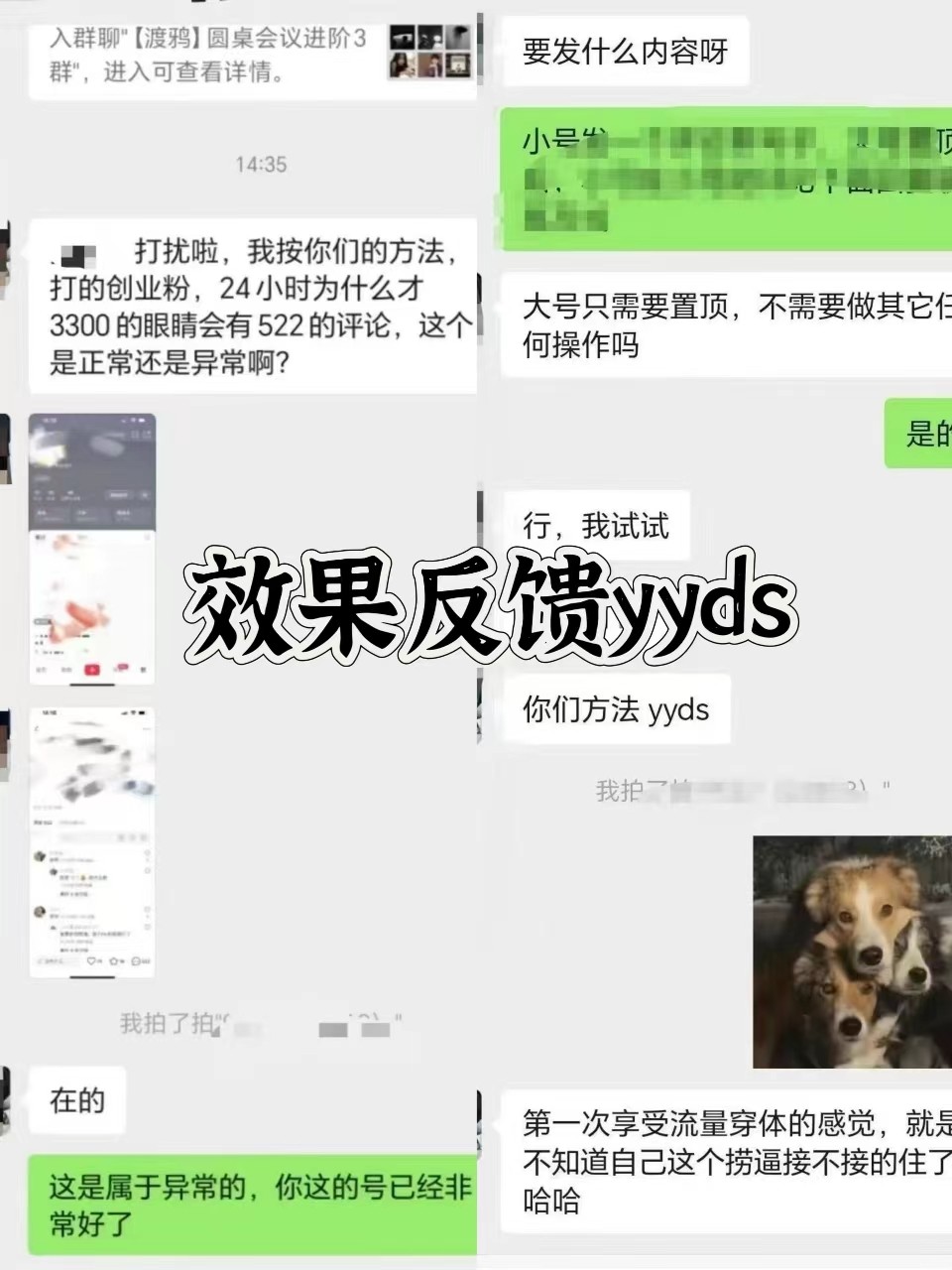 图片[3]-抖音小红书视频号全平台引流打法，全自动引流日引2000+精准客户-Z网创
