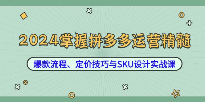 2024掌握拼多多运营精髓:爆款流程、定价技巧与SKU设计实战课-Z网创