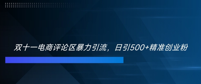 双十一电商评论区暴力引流,日引500+精准创业粉【揭秘】-Z网创