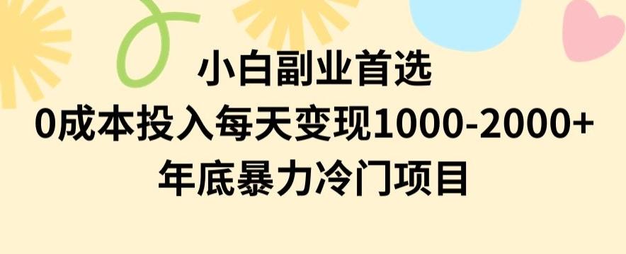 小白副业首选，0成本投入，每天变现1000-2000年底暴力冷门项目【揭秘】-Z网创