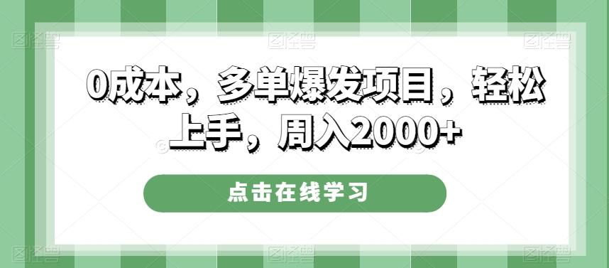 0成本，多单爆发项目，轻松上手，周入2000+-Z网创