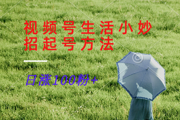 视频号生活小妙招分享赛道， 起号涨粉新方法，日涨100粉-Z网创
