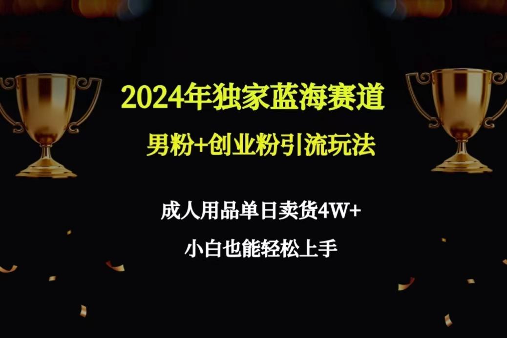 2024年独家蓝海赛道男粉+创业粉引流玩法，成人用品单日卖货4W+保姆教程-Z网创