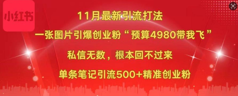 小红书11月最新图片打粉，一张图片引爆创业粉，“预算4980带我飞”，单条引流500+精准创业粉-Z网创