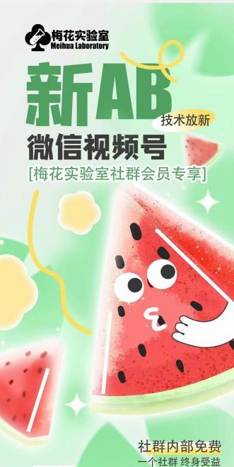 梅花实验室2024年AB技术视频号AB合成破解版-Z网创