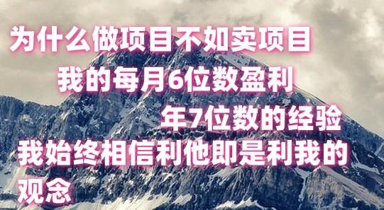 做项目不如卖项目，每月6位数盈利，年7位数经验-Z网创