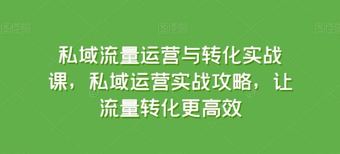 私域流量运营与转化实战课，私域运营实战攻略，让流量转化更高效-Z网创