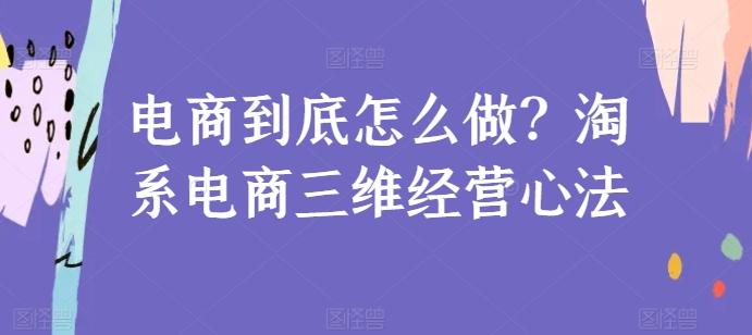 电商到底怎么做？淘系电商三维经营心法-Z网创