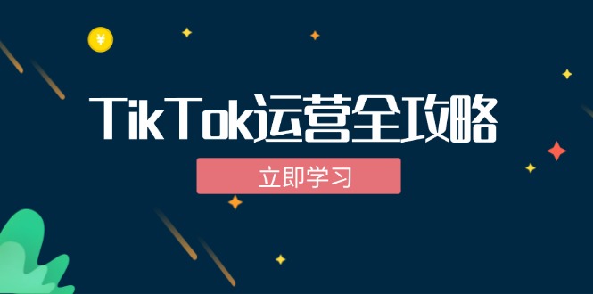 TikTok实战运营全攻略：从下载软件到变现，抖音海外版实操教程-Z网创