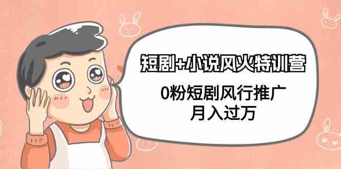 小说+短剧风火特训营，0粉短剧小说风行推广，实现月入过万-Z网创